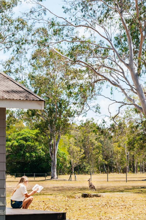 Kangarooms Noosa Everglades Cootharaba Екстер'єр фото